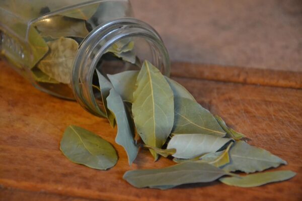 Bay Leave (Premium)